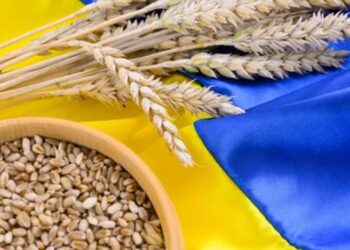 صادرات أوكرانيا من الحبوب تتجاوز مليون طن في الأسبوعين الأولين من سبتمبر