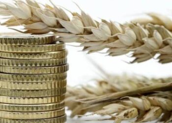 أسعار القمح في أوكرانيا آخذة في الارتفاع وسط انتعاش الأسعار العالمية