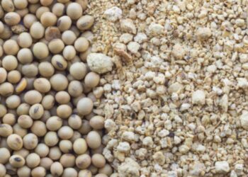 انخفاض شحنات كسب الصويا الأسبوعية في الولايات المتحدة