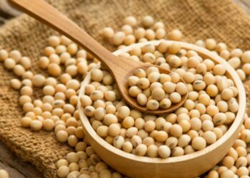 مبيعات جديدة من فول الصويا الأمريكي قدرها 100 ألف طن إلى الصين