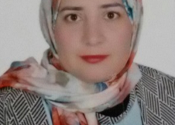 طيور بط