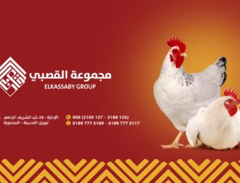مجموعة القصبي تعلن عن احتياجها إلى وظيفة "مدير مزرعة أمهات ومهندسين مساعدين "