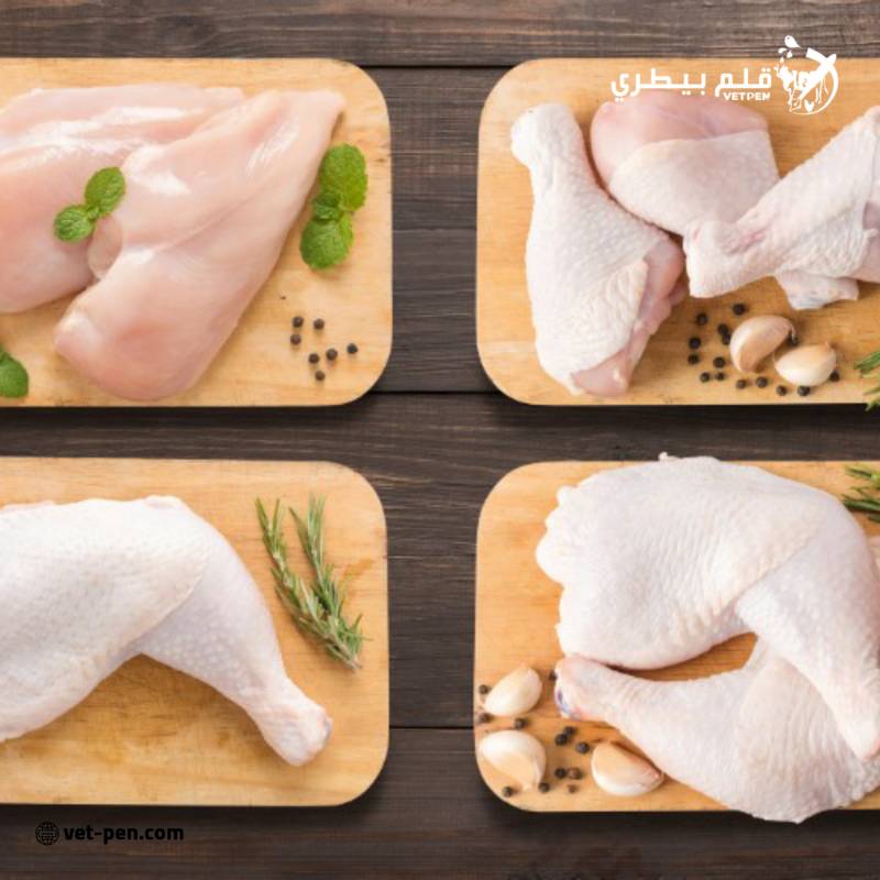 الدواجن