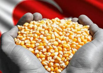 تركيا تخفض رسوم الاستيراد على الذرة