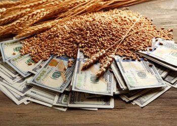 تقرير حول توقعات أسعار الحبوب العالمية لعام 2025: القمح والشعير والذرة