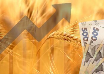 ارتفاع غير مسبوق في أسعار القمح بأوكرانيا خلال سبتمبر