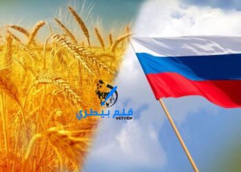 تقرير: روسيا تحدد سعرًا أدنى لتصدير القمح بقيمة 250 دولارًا للطن المتري