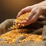 العقود الآجلة للذرة