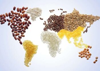 الفاو تخفض توقعاتها لإنتاج الحبوب العالمي في 2024-25 بشكل طفيف عند 2.848 مليار طن