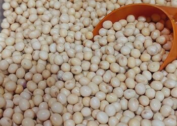 مبيعات فول الصويا الأمريكي ترتفع بنسبة 20% أسبوعيًا