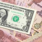 سعر الدولار