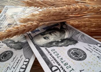 ارتفاع أسعار القمح الروسي الأسبوع الماضي وسط تقلص العرض