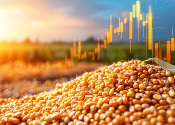 الذرة تختتم أخر جلسات الأسبوع على ارتفاع بفعل الصادرات القوية