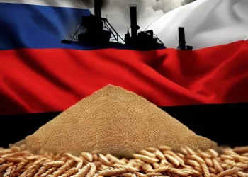 روسيا تفقد الريادة العالمية في صادرات القمح في نهاية موسم 2024-25
