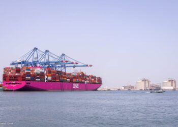 ميناء دمياط يستقبل 11000 طن ذرة و 6819 طن قمح