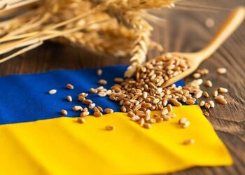 تراجعت صادرات الحبوب الأوكرانية عن أرقام العام الماضي