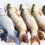 أسعار السمك