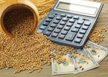 انخفاض أسعار القمح في البورصات العالمية بنسبة 1.5% إلى 2.8% خلال الأسبوع