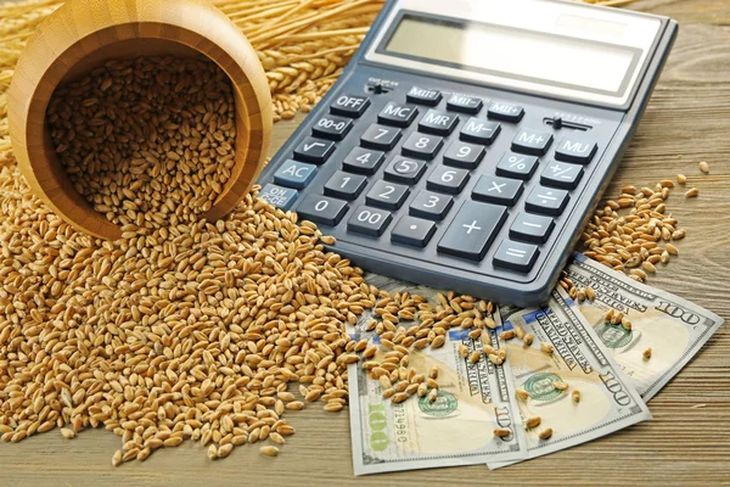 انخفاض أسعار القمح في البورصات العالمية بنسبة 1.5% إلى 2.8% خلال الأسبوع