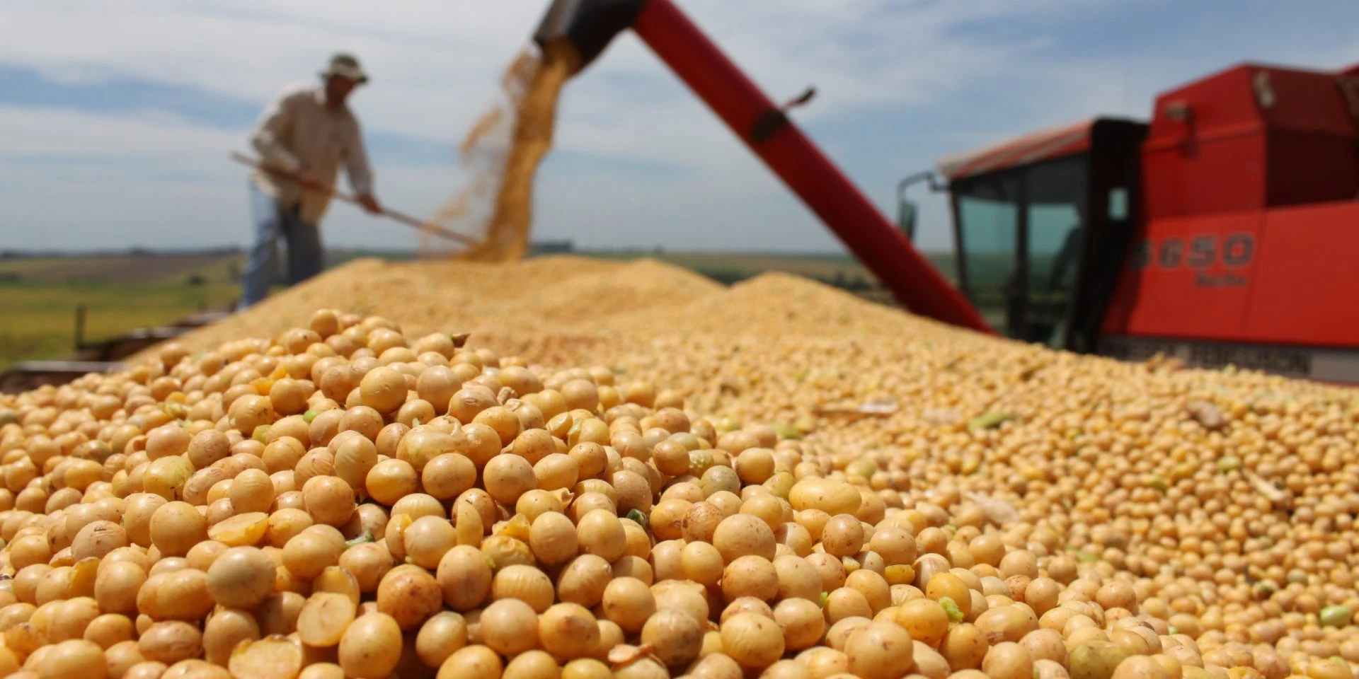 السلع الزراعية تشهد تراجعاً واسع النطاق هذا الخميس.. بعد رسوم ترامب الجمركية.. والصويا تفقد أكثر من 1%