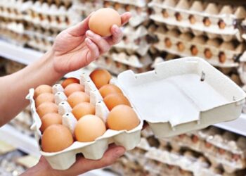 أوكرانيا تسجل انخفاض في أسعار البيض لأول مرة منذ فبراير بنسبة 5.2%