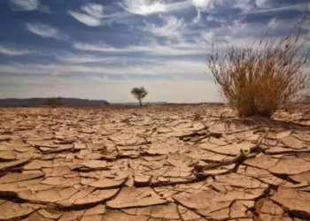 لأول مرة في تاريخه.. الجفاف يدفع المغرب لري مليون هكتار لإنتاج الحبوب