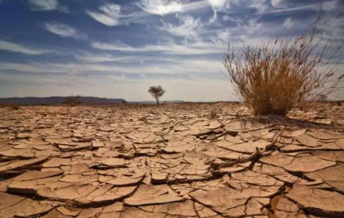 لأول مرة في تاريخه.. الجفاف يدفع المغرب لري مليون هكتار لإنتاج الحبوب