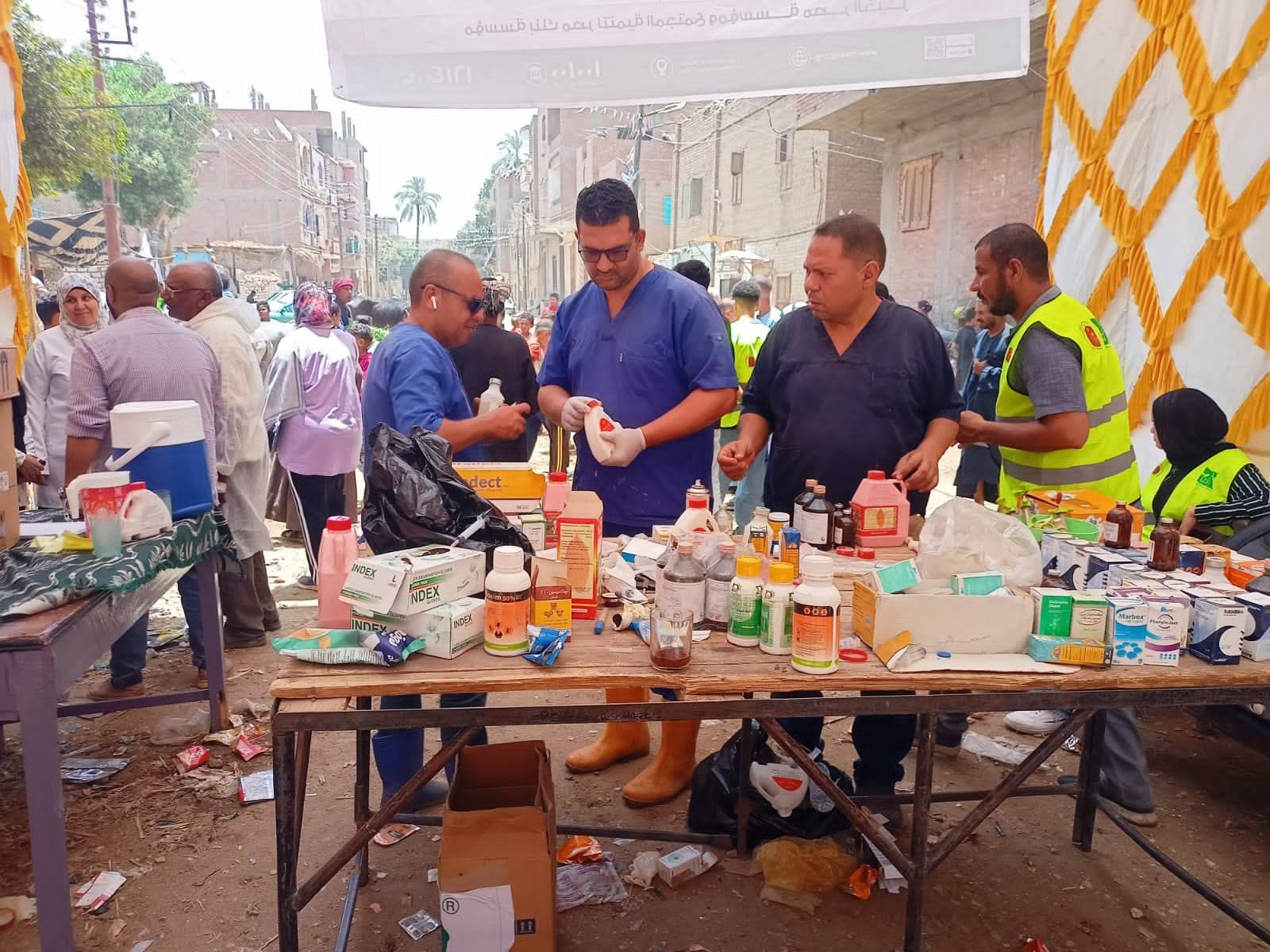 علاج وفحص 1200 رأس ماشية ضمن أعمال قافلة بيطرية بقرى "قنا"