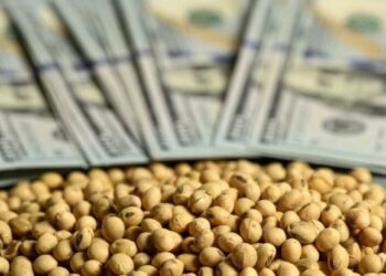 انخفاض العقود الآجلة لفول الصويا يوم الأربعاء وسط عمليات الزراعة الأمريكية النشطة