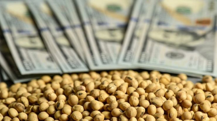 انخفاض العقود الآجلة لفول الصويا يوم الأربعاء وسط عمليات الزراعة الأمريكية النشطة