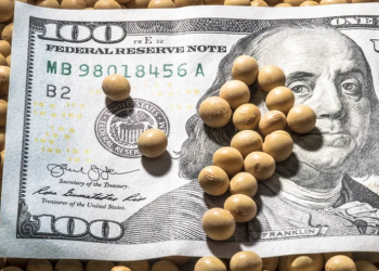 ارتفاع العقود الآجلة لفول الصويا في شيكاغو يوم الثلاثاء وسط تغطية المكشوف والتداول المتقلب