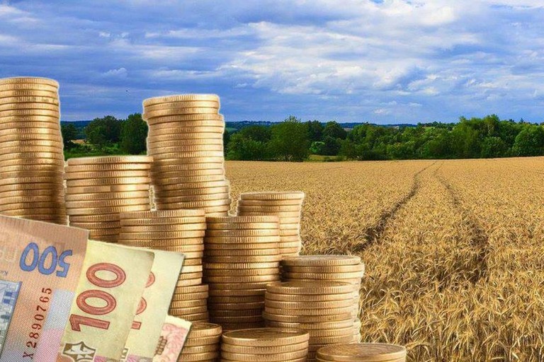 أسعار القمح الروسي