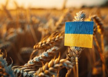 أوكرانيا تصدر 1.5 مليون طن من الحبوب خلال الأسبوعين الأولين من شهر مايو