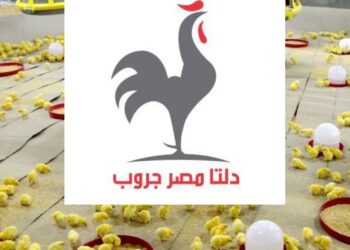 دلتا مصر جروب