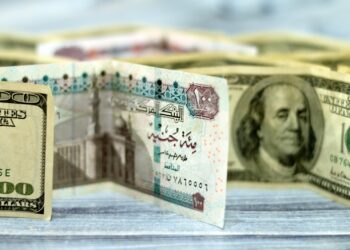 سعر الدولار