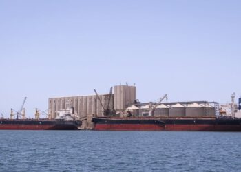 ميناء دمياط يستقبل 20197 طن ذرة و 7651 طن قمح