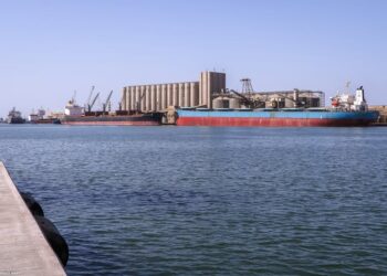 ميناء دمياط يستقبل 4500 طن ذرة و 2301 طن قمح