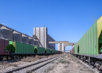 ميناء دمياط يستقبل 13000 طن ذرة و 8395 طن قمح