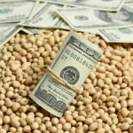 عقود فول الصويا تتراجع بنسبة 1.3% خلال الأسبوع