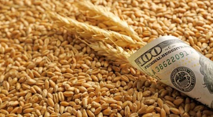 ارتفاع أسعار القمح في أوكرانيا وسط انخفاض معدلات الحصاد وزيادة الطلب على الصادرات