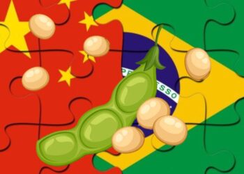 البرازيل تعتزم زيادة صادرات فول الصويا إلى الصين إلى 85%
