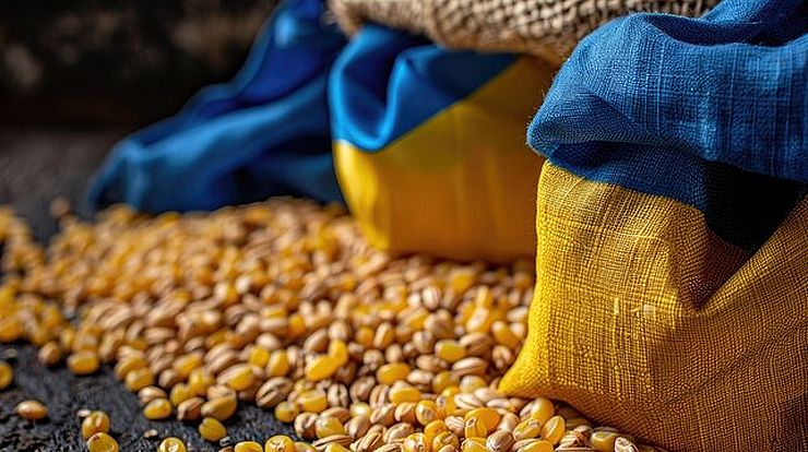 صادرات أوكرانيا من الذرة تتراجع في موسم 2025-2026