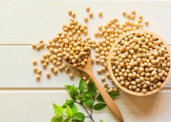 الأرجنتين تزيد رسوم التصدير على المنتجات الزراعية