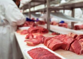 الصين تسجل رقما قياسيا في إنتاج اللحوم في النصف الأول من عام 2025