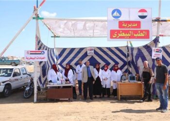 تحصين 22877 رأس ماشية ضد الحمى القلاعية في دمياط