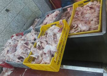بيطري الشرقية: ضبط 4 أطنان من الدواجن والأسماك منتهية الصلاحية