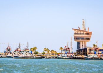 بدون ذرة أوصويا.. ميناء دمياط يستقبل 17444 طن من البضائع