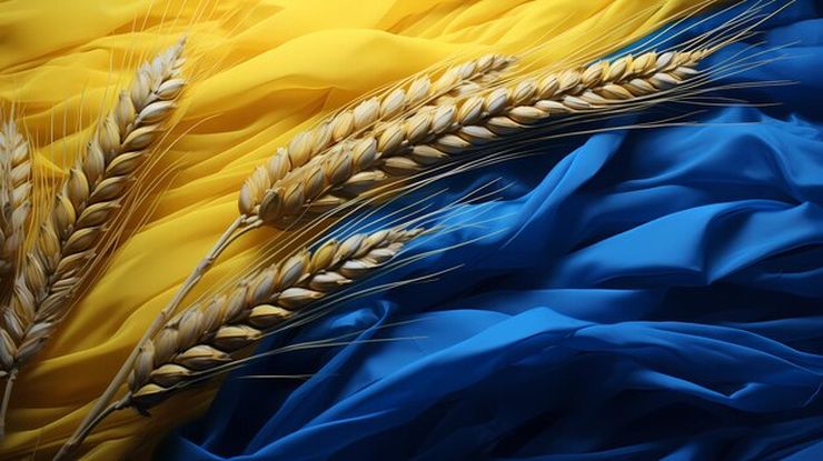 صادرات الحبوب الأوكرانية تتجاوز 2.7 مليون طن منذ بداية الموسم