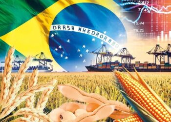 البرازيل تشهد إنتاجاً قياسياً من الحبوب والبذور الزيتية في عام 2025