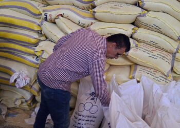 جهود مكثفة لضبط سوق الأعلاف.. وزير الزراعة يوجه بتكثيف الحملات على المخازن والأسواق